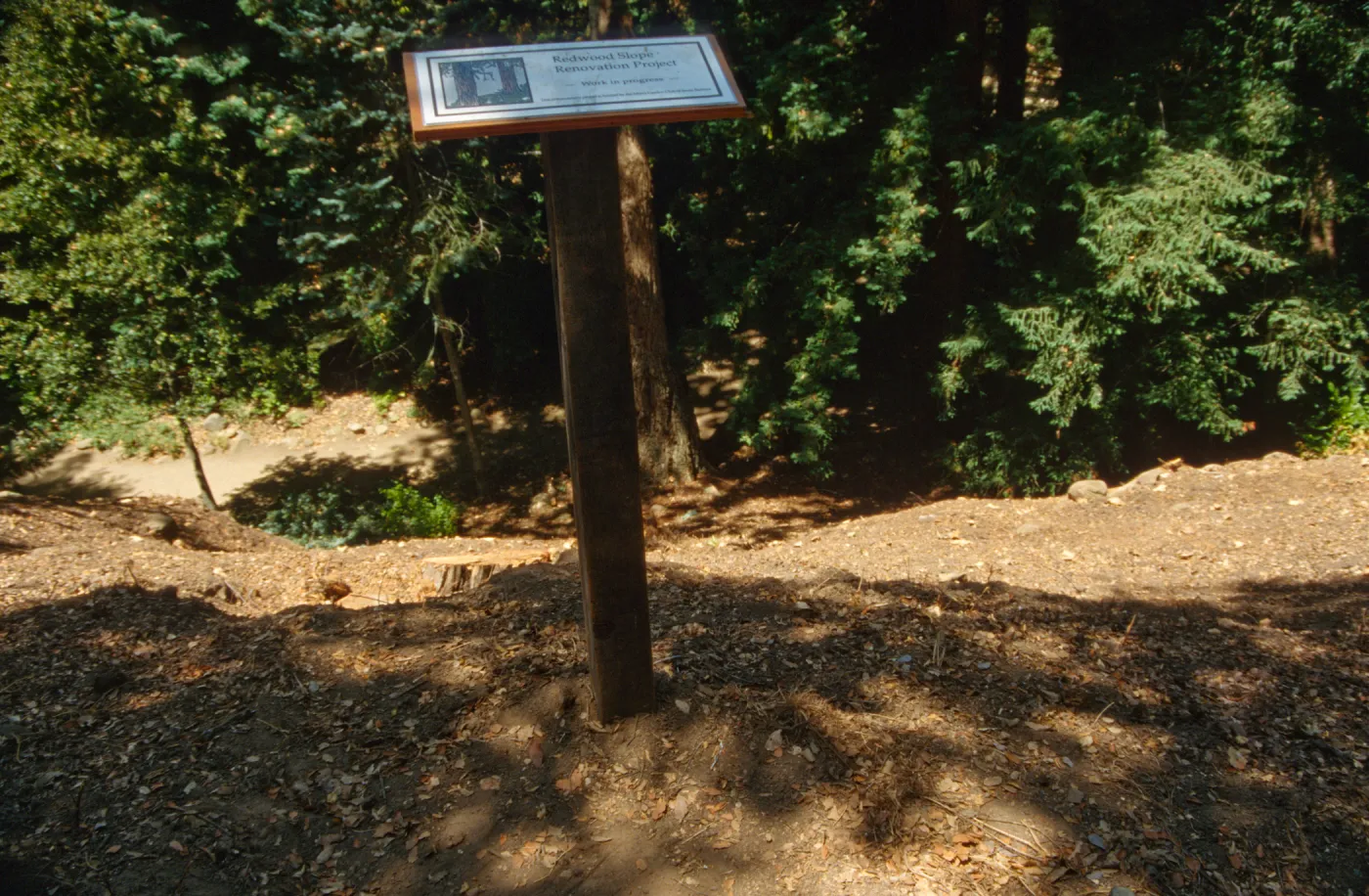 Redwood Slope Restoration Project