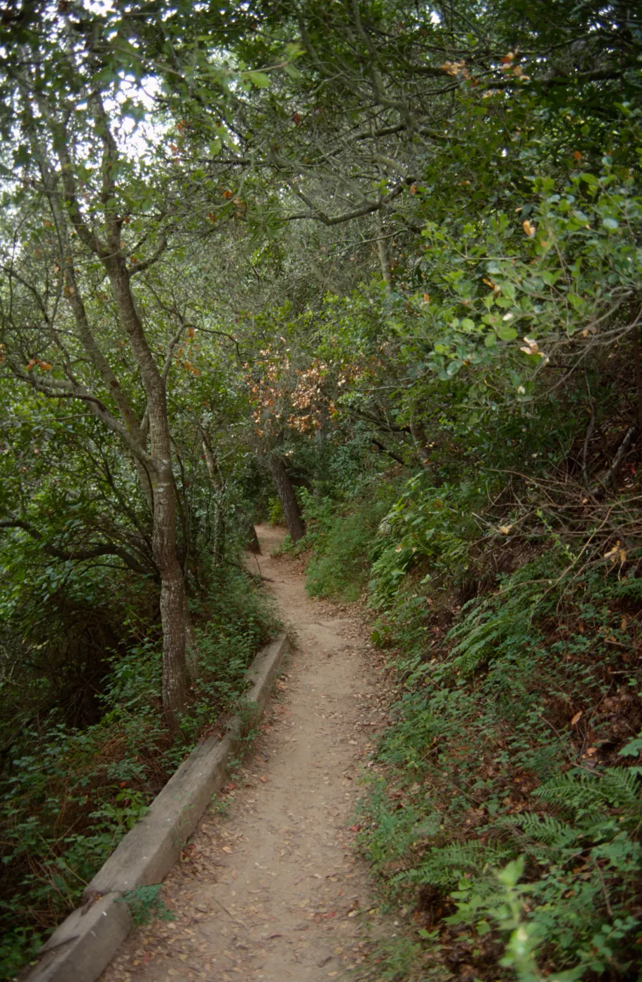 Pritchett Trail