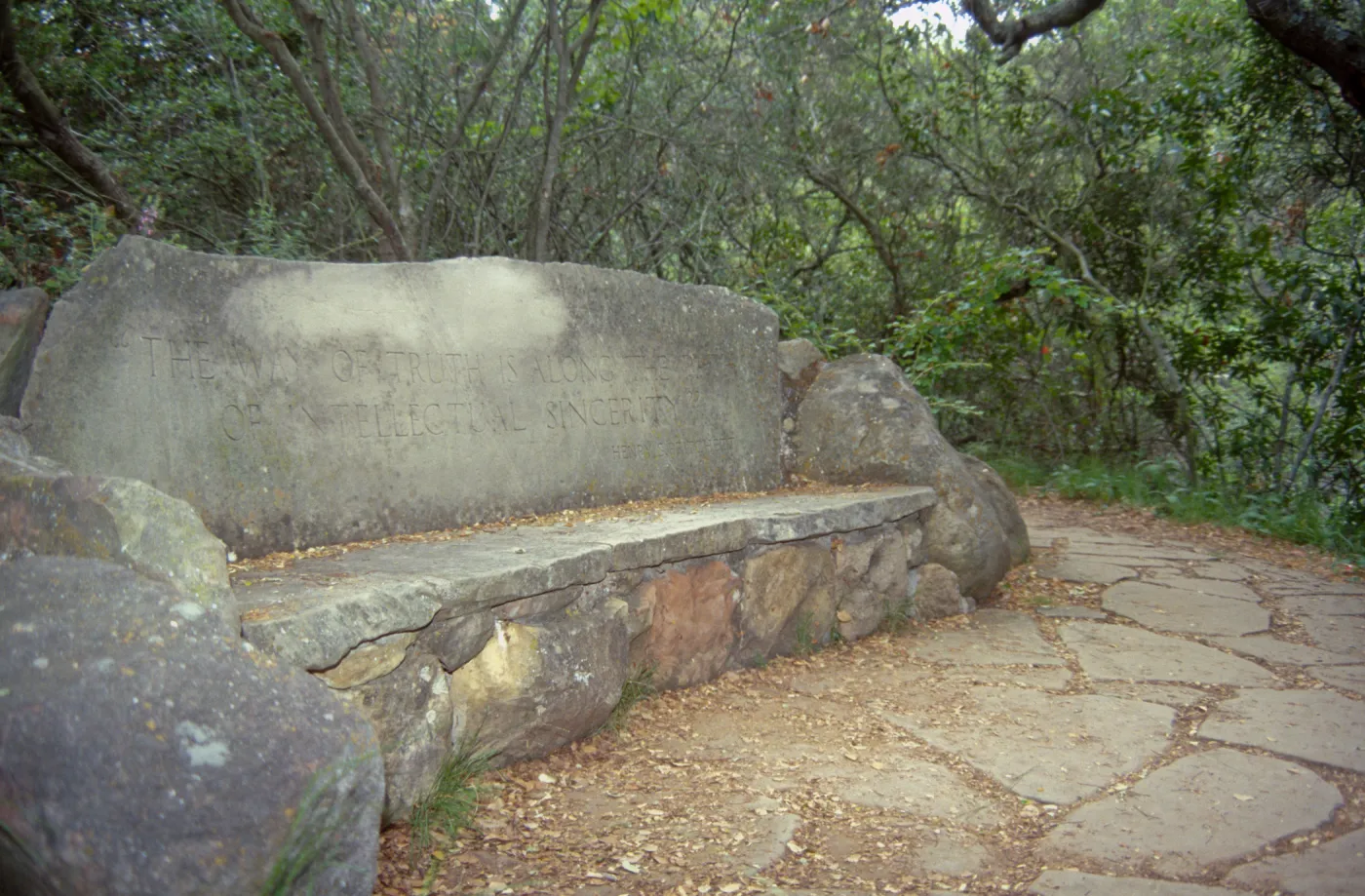 Pritchett Bench