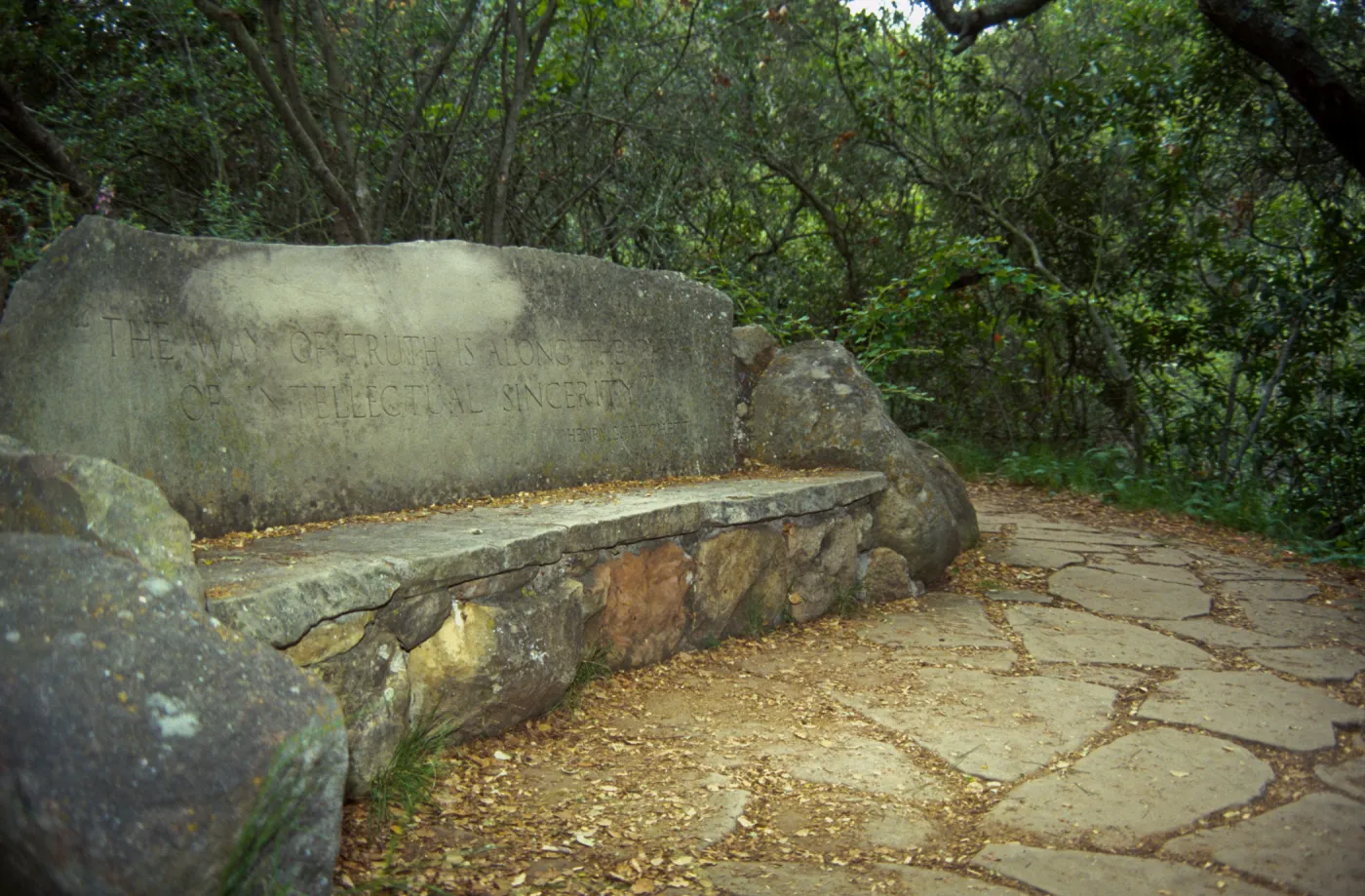 Pritchett Bench
