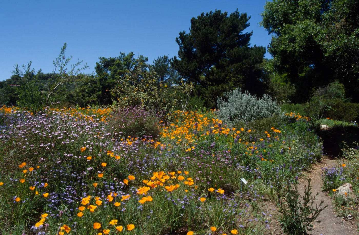 Spring on the Porter Trail