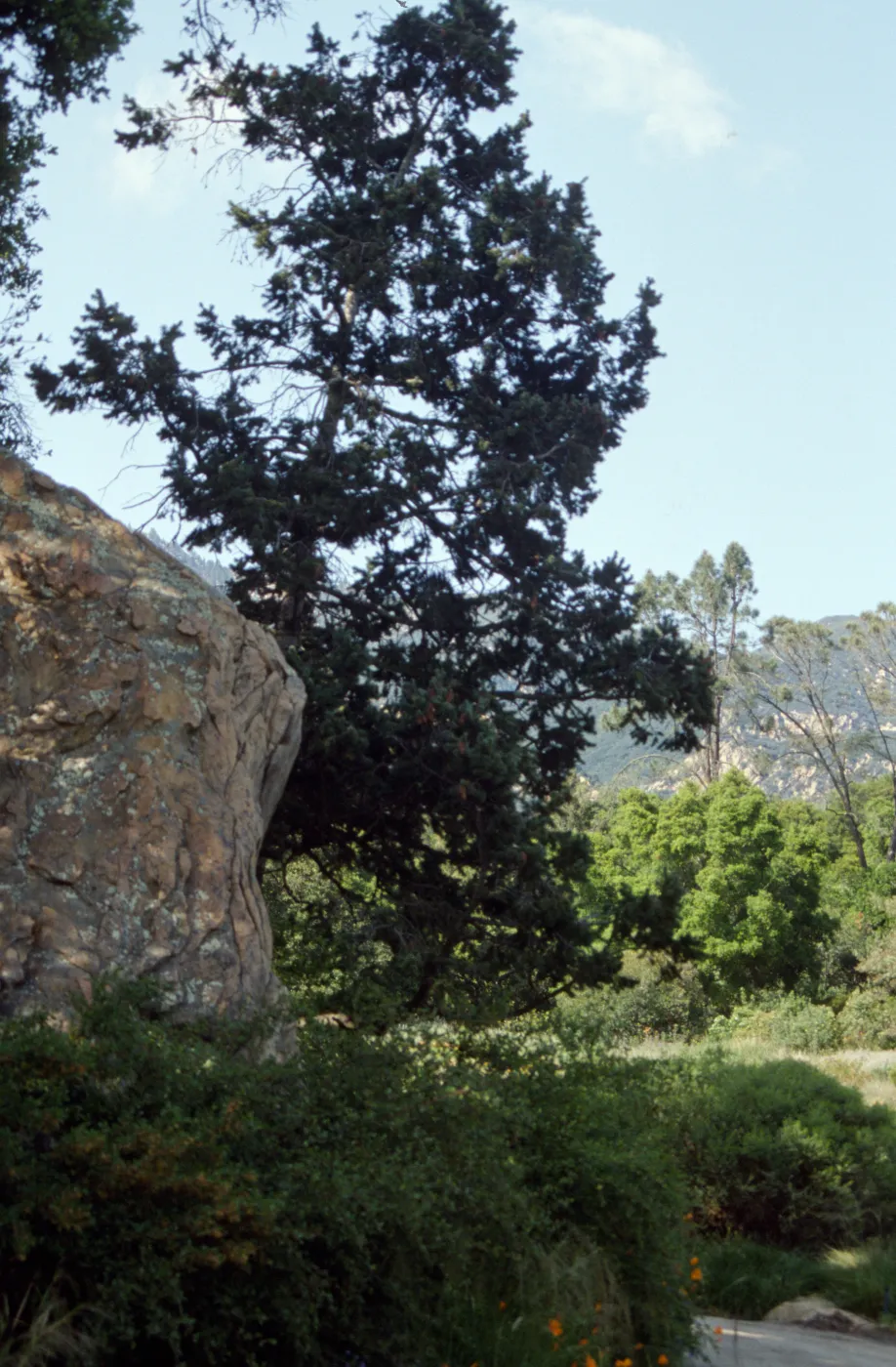 Blaksley Boulder