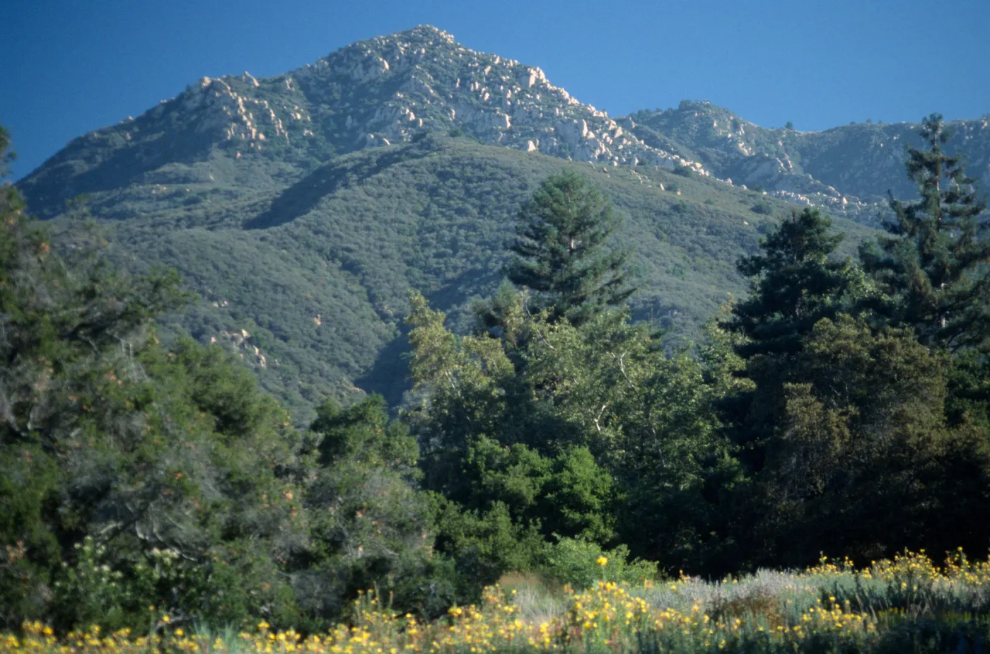 Top of Meadow, view of La Cumbre Peak