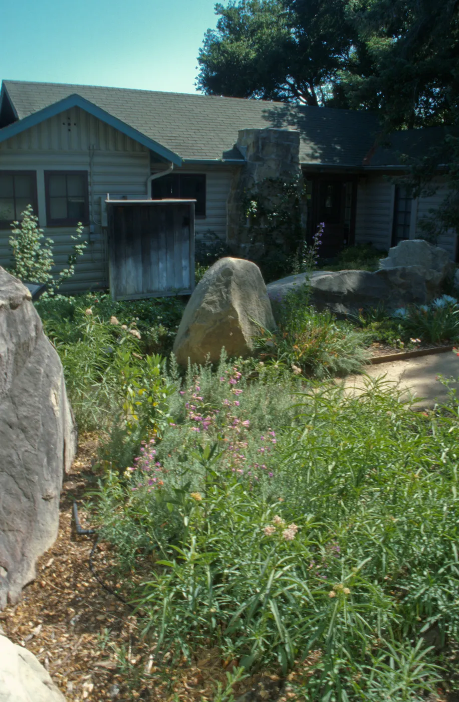 view of the plantings behind the Herbarium and up to the Cottage