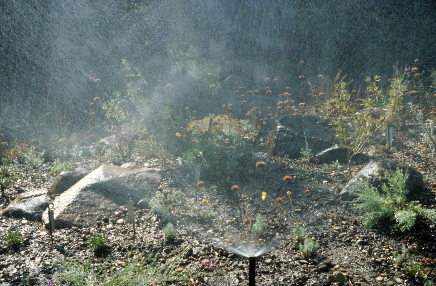 above ground sprinkler, mister in the Garden