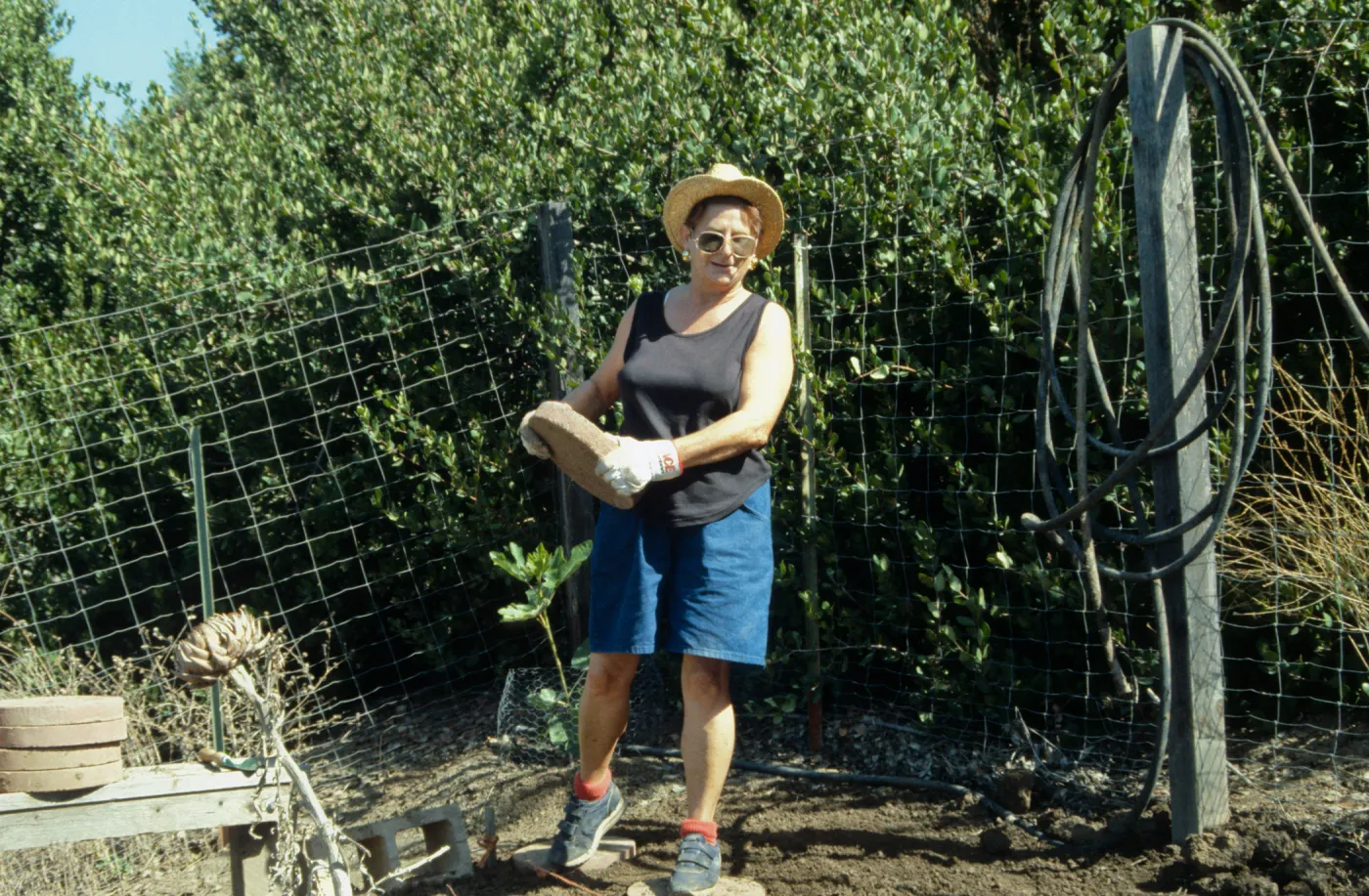 Children's Garden