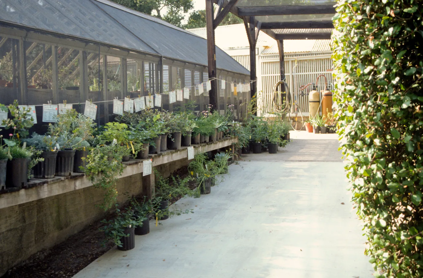 Garden Growers Nursery