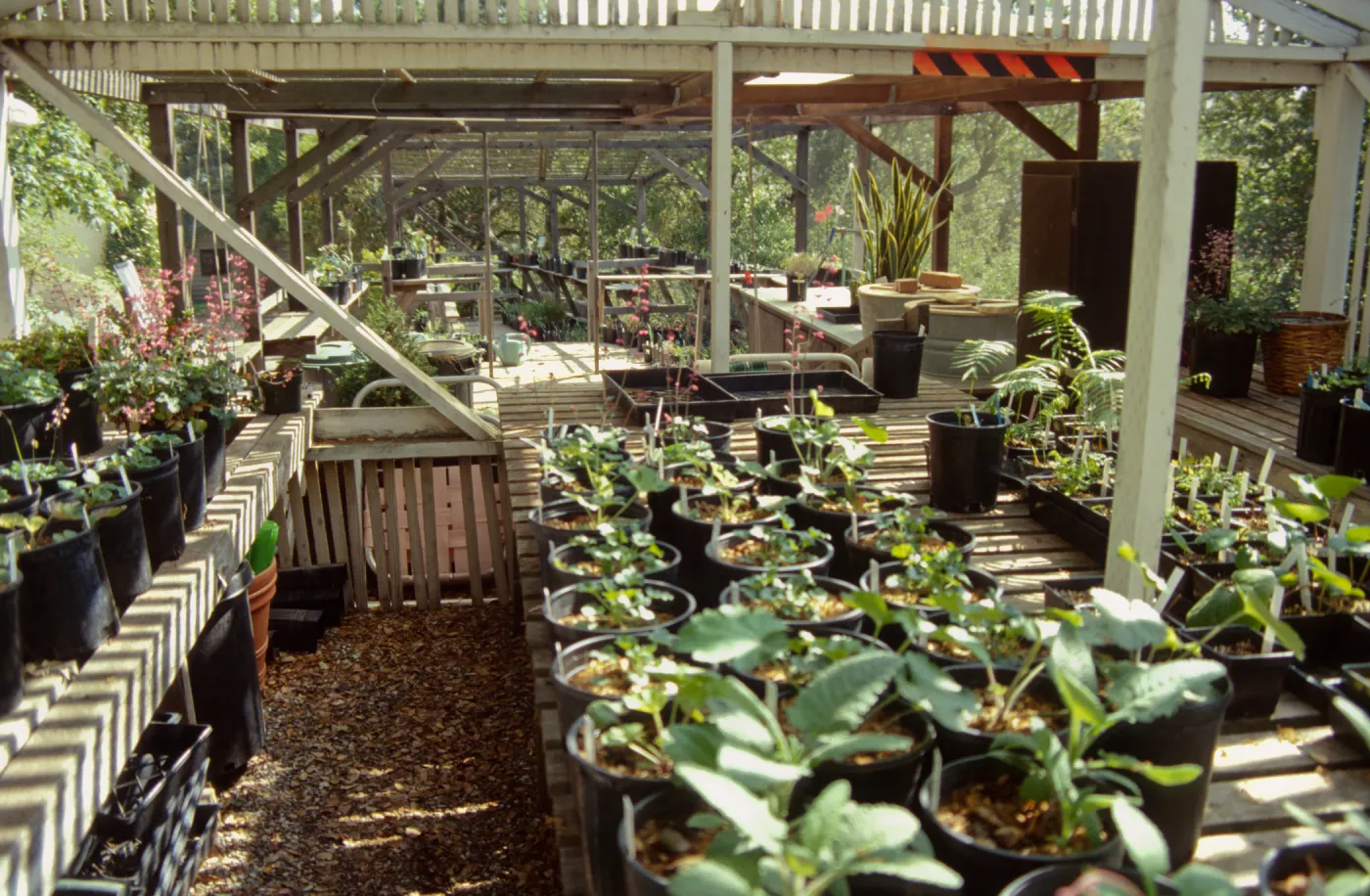 Garden Growers Nursery
