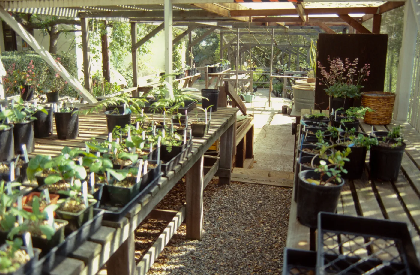 Garden Growers Nursery