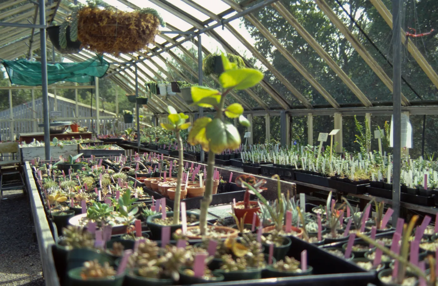 Garden Growers Nursery