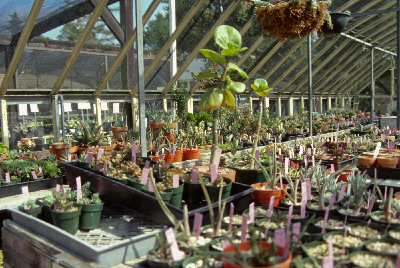 Garden Growers Nursery