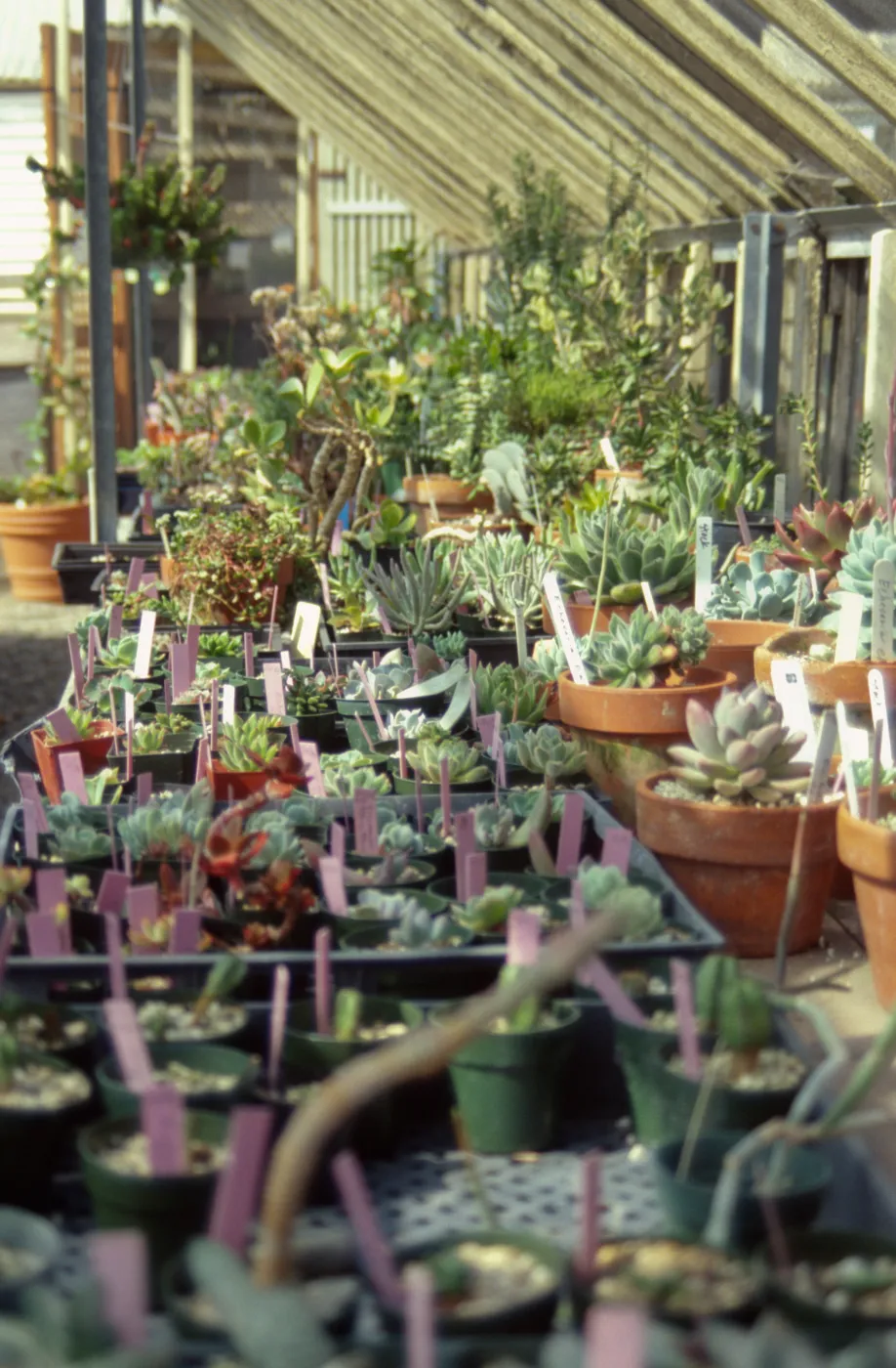 Garden Growers Nursery