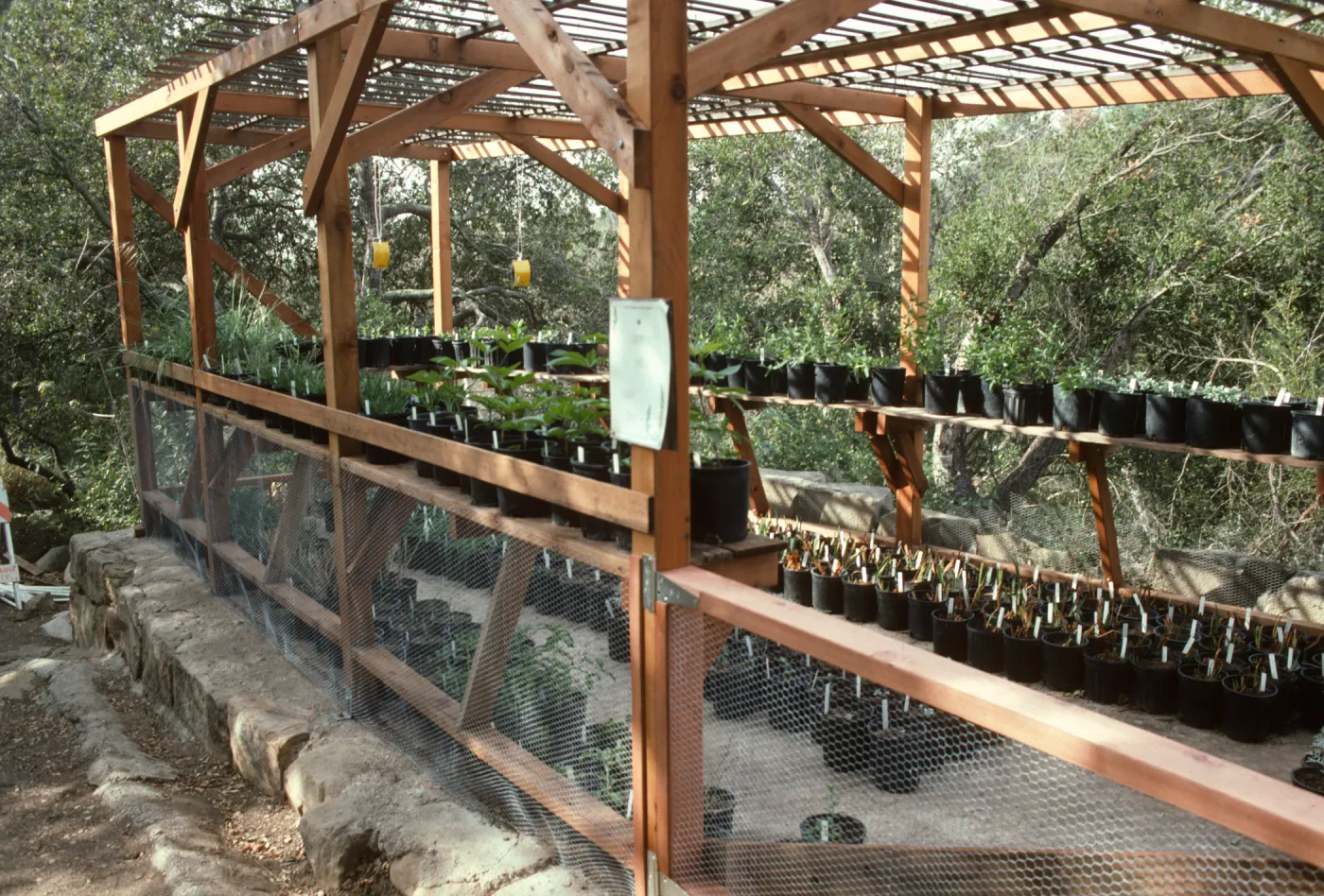 Construction of Garden Growers Nursery