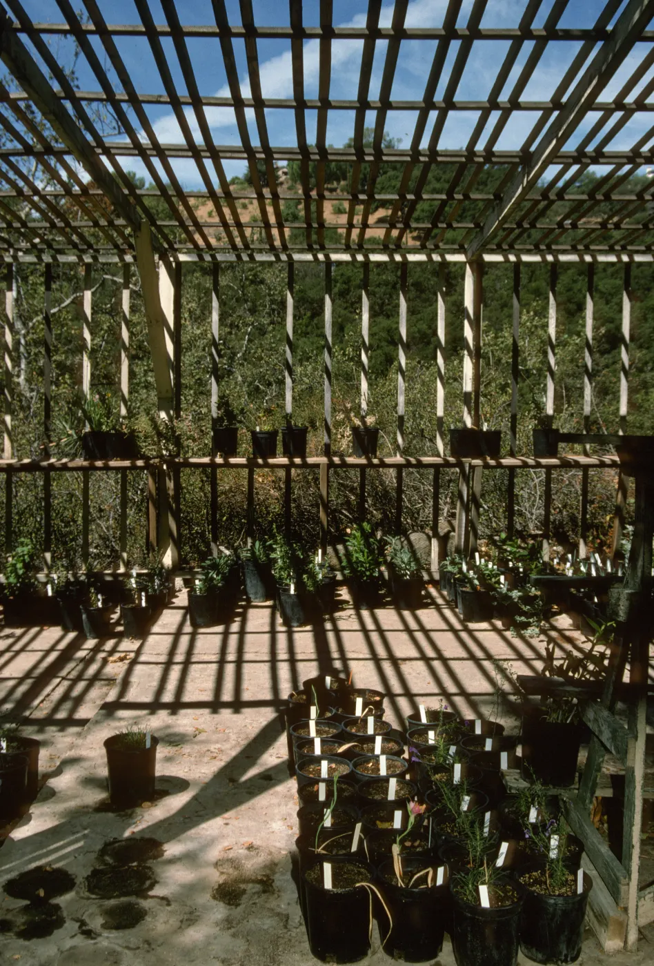 Construction of Garden Growers Nursery