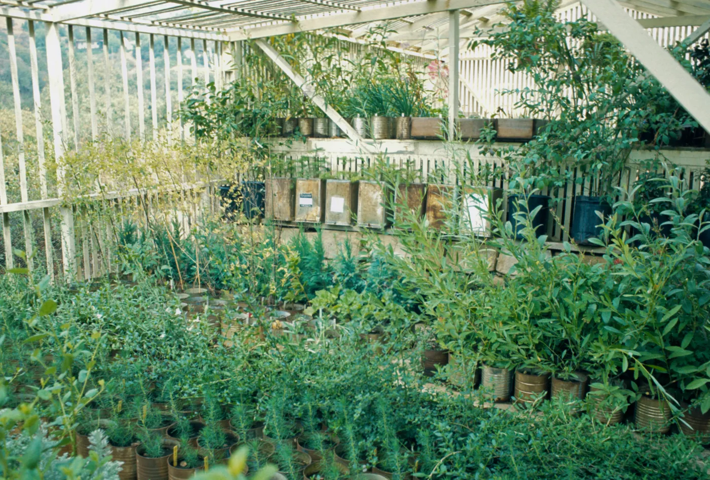 Garden Growers Greenhouse