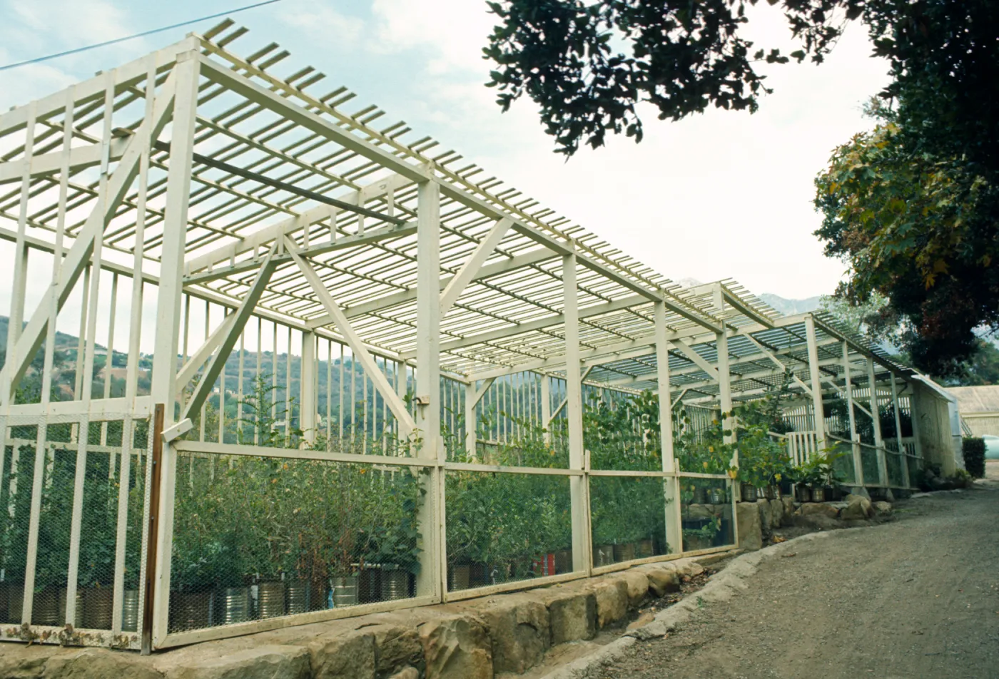 Garden Growers Greenhouse