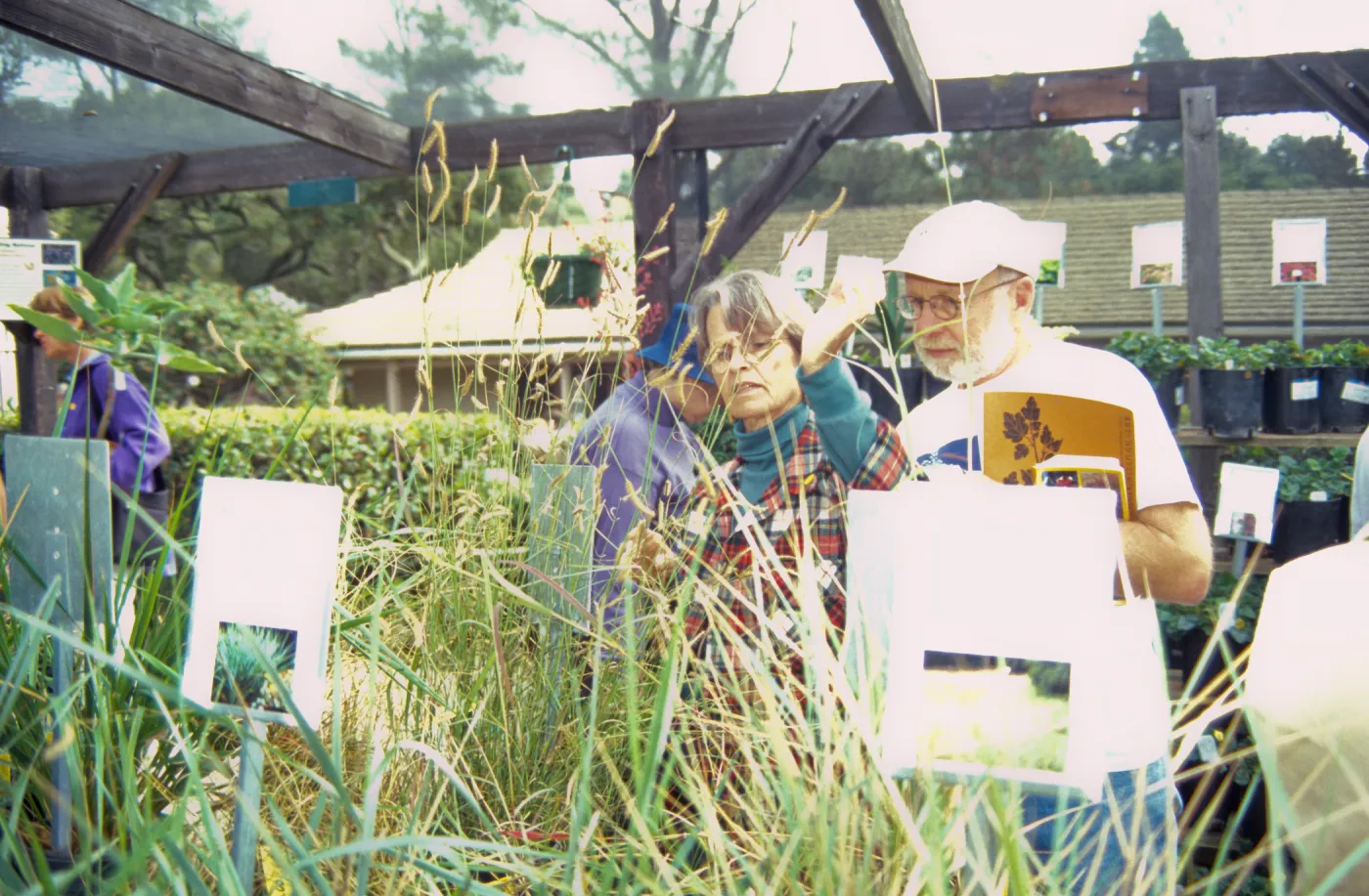 Fall Plant sale, Oct 200