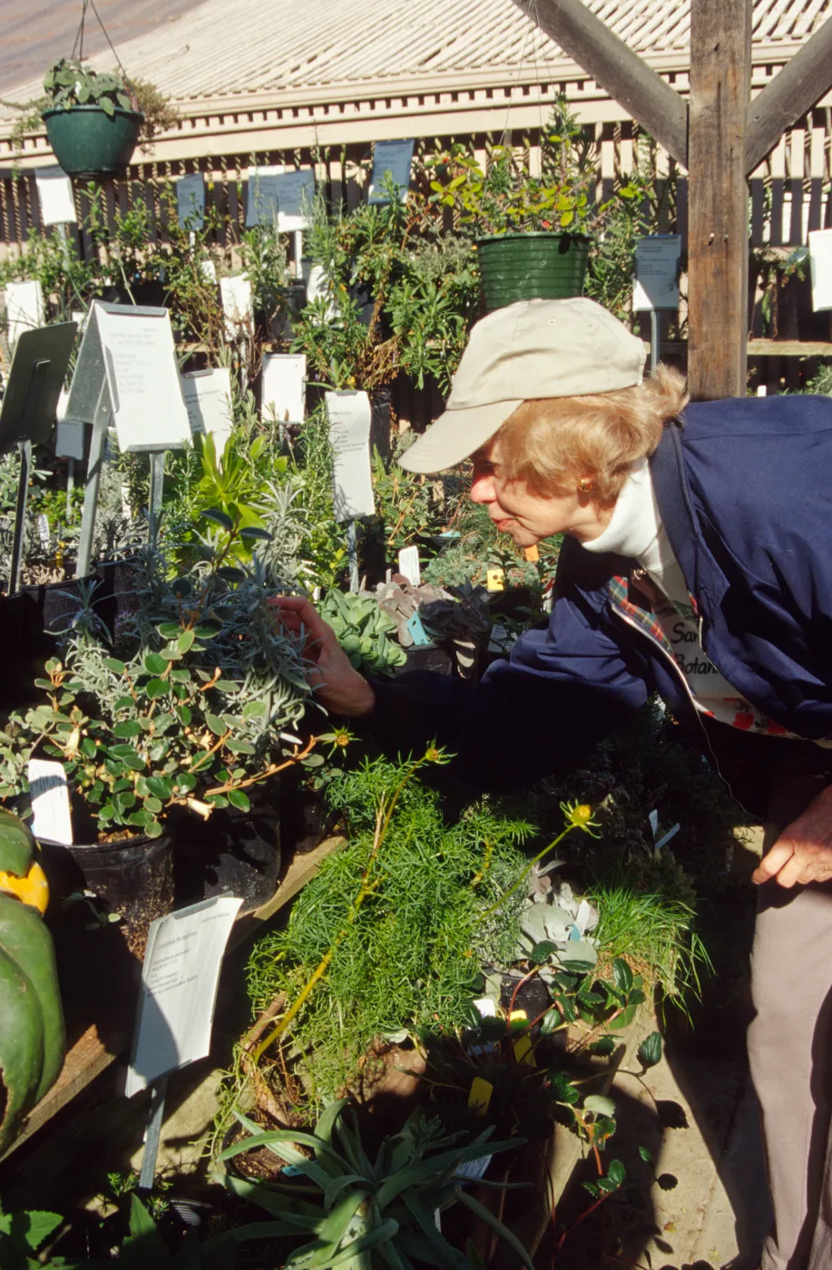 Garden Growers Volunteer
