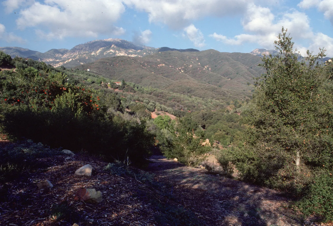 East Slope