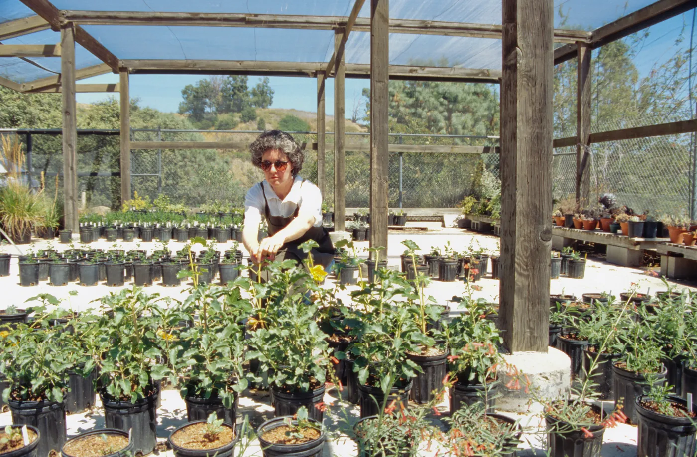Horticulture Unit