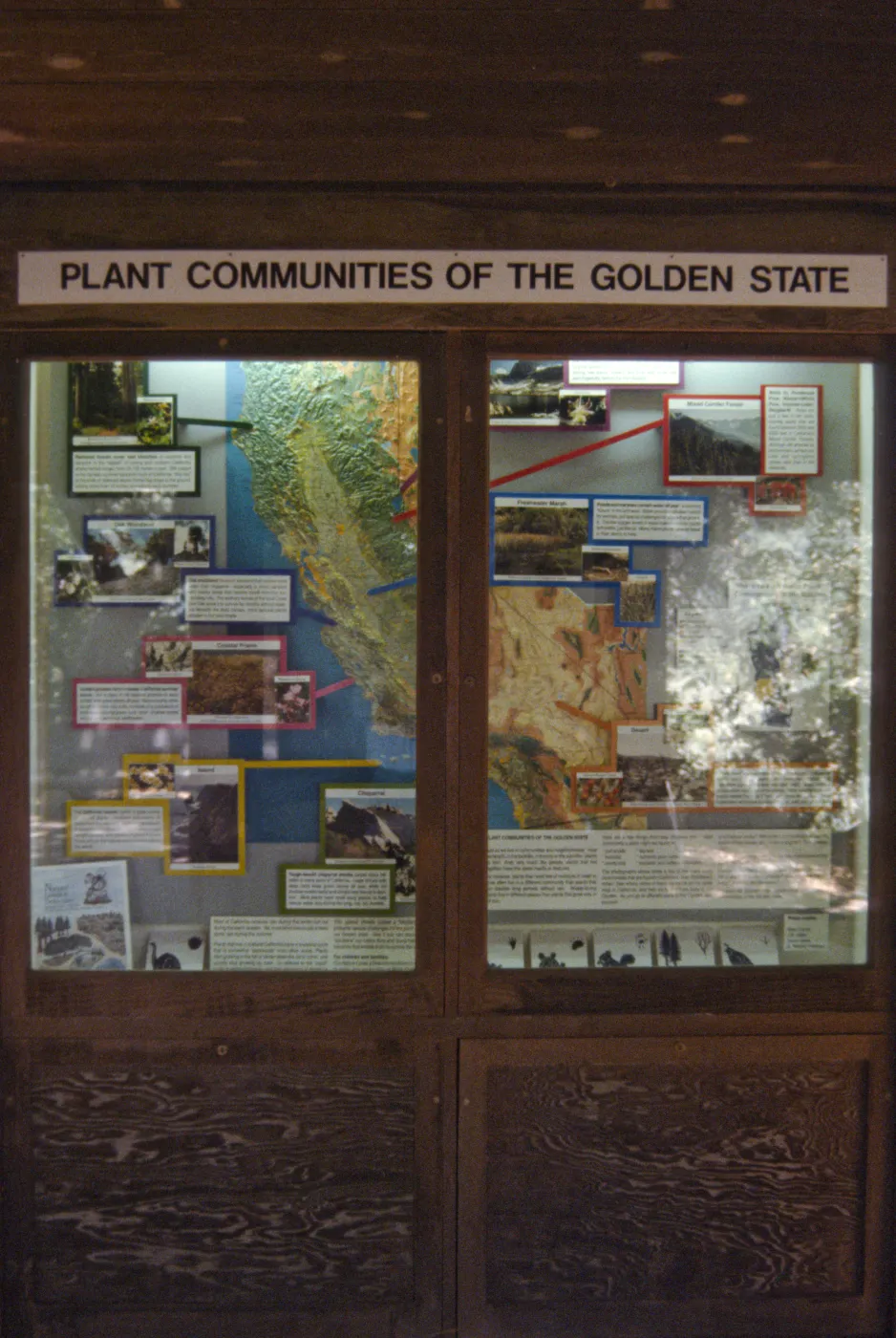 California Plant Communities exhibit window in the Information Kiosk