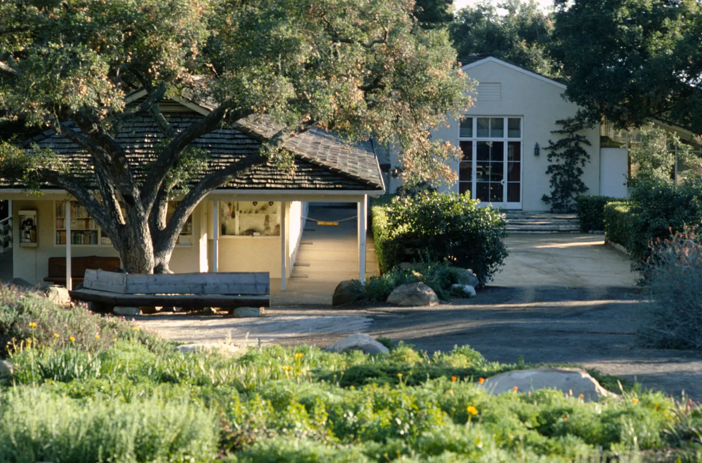 Entrance Display, entrance oak