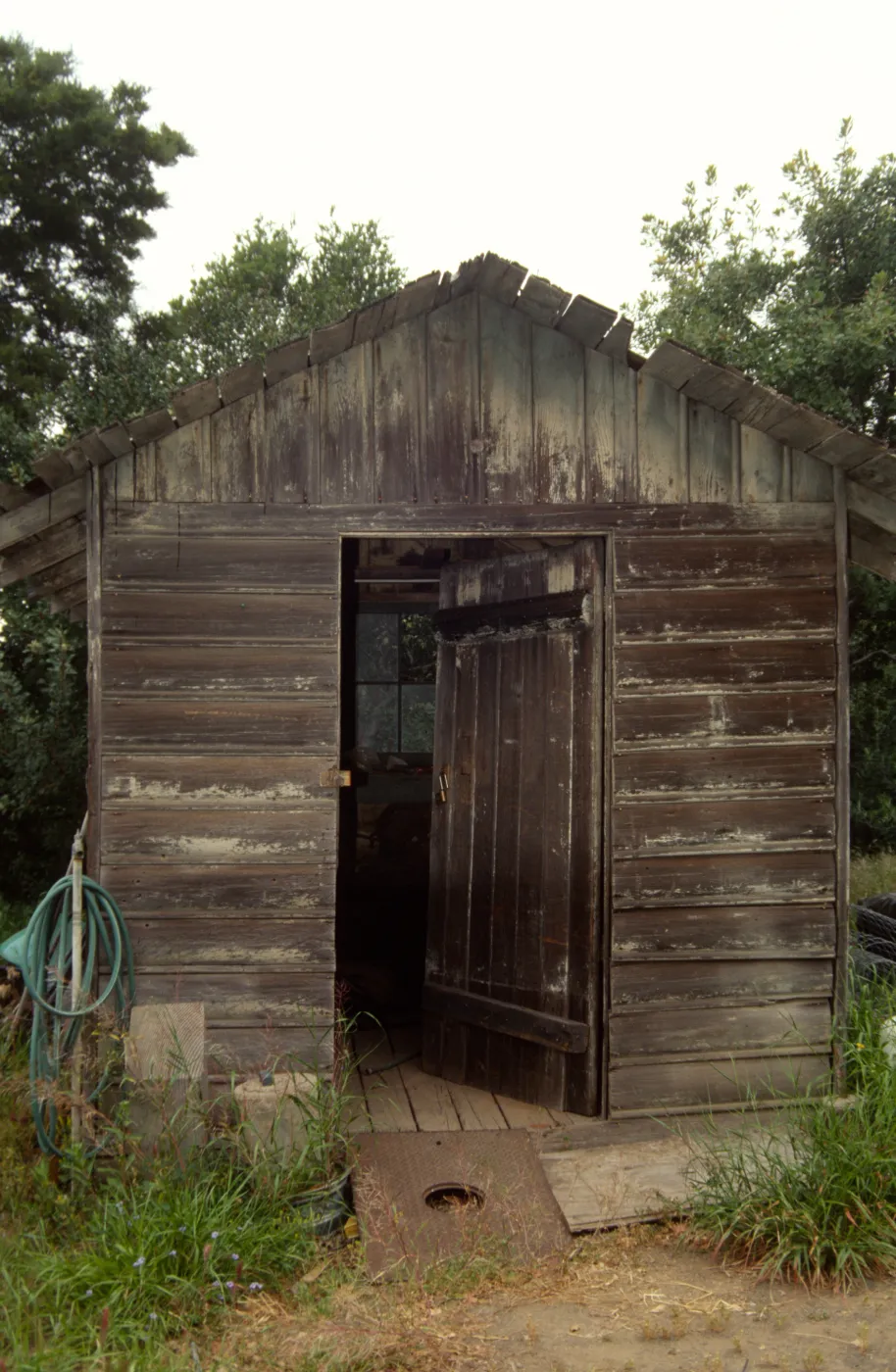 Shed