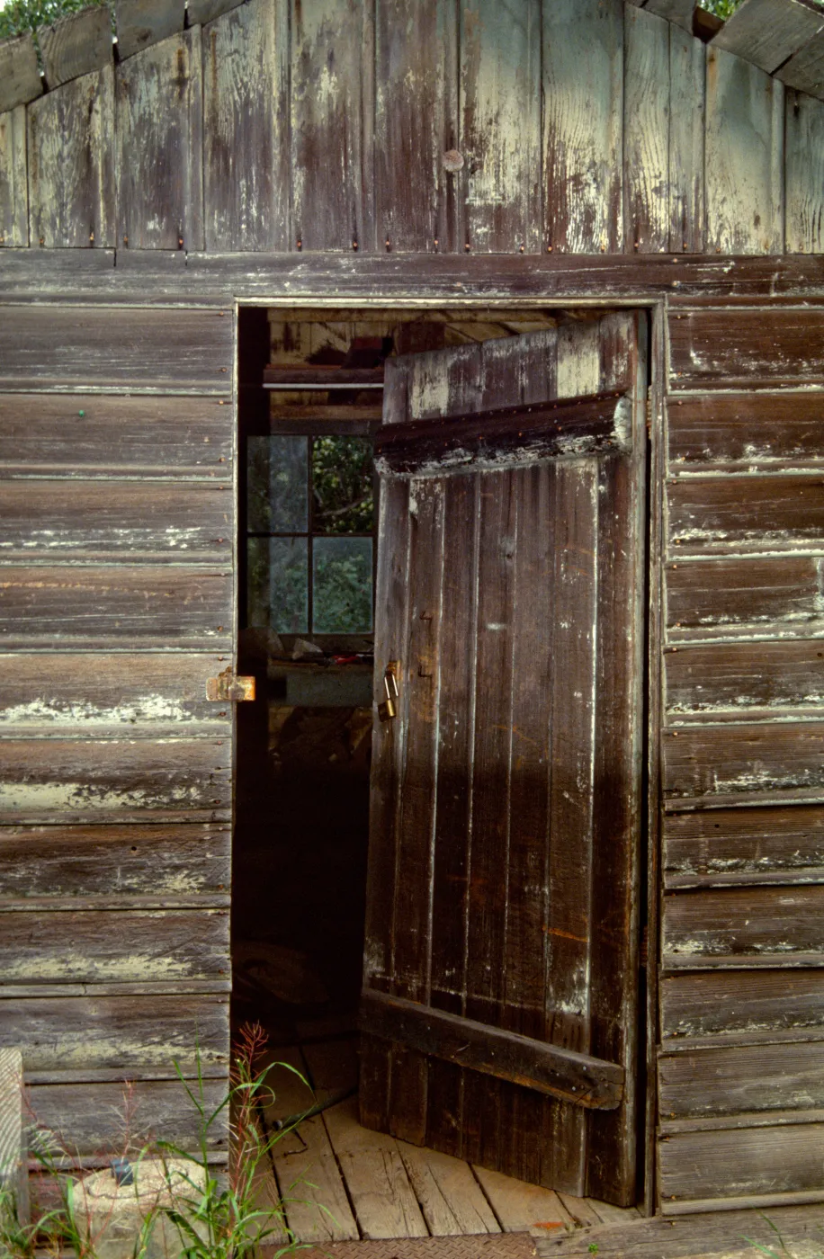 Shed