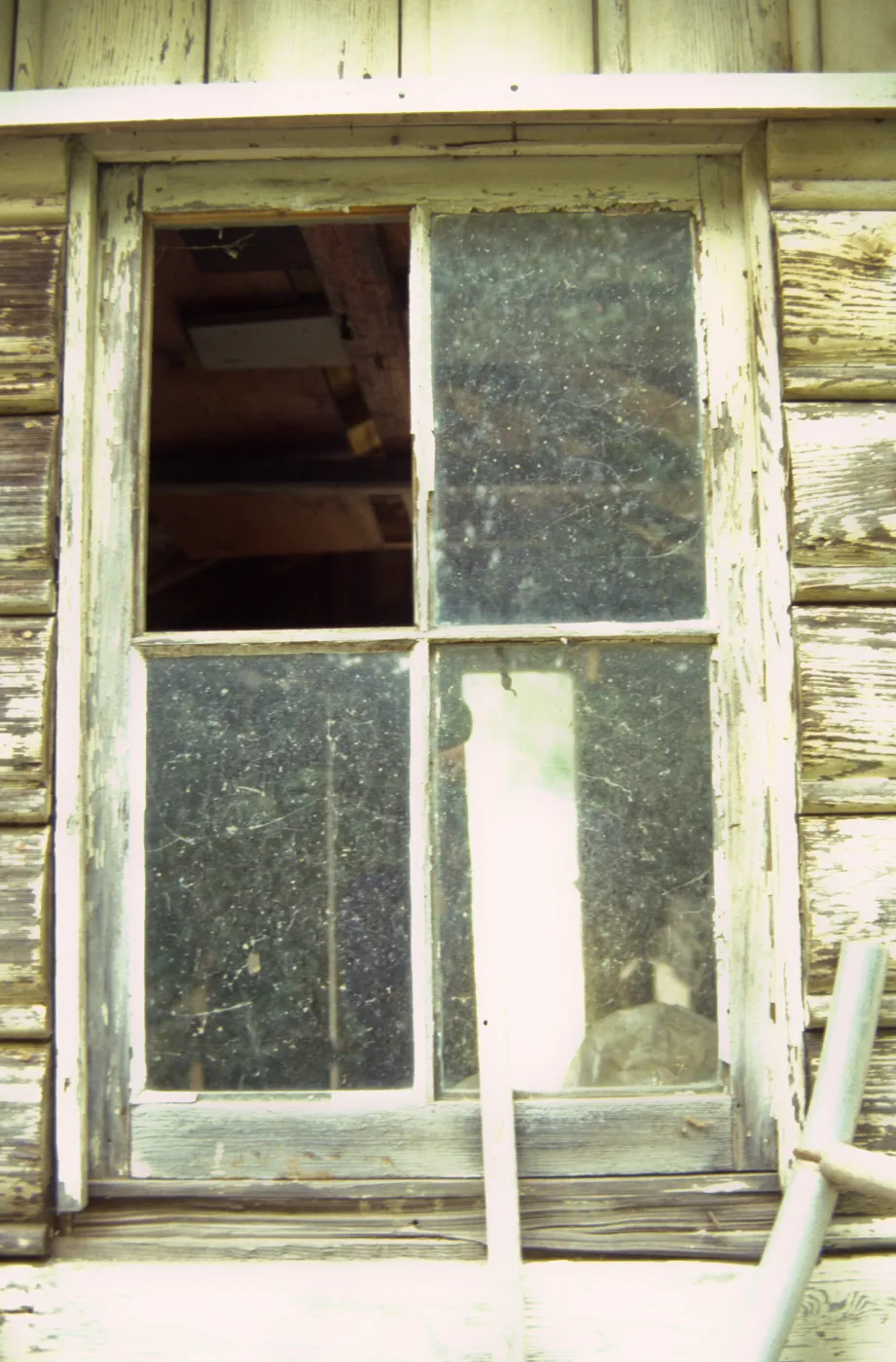 Shed window