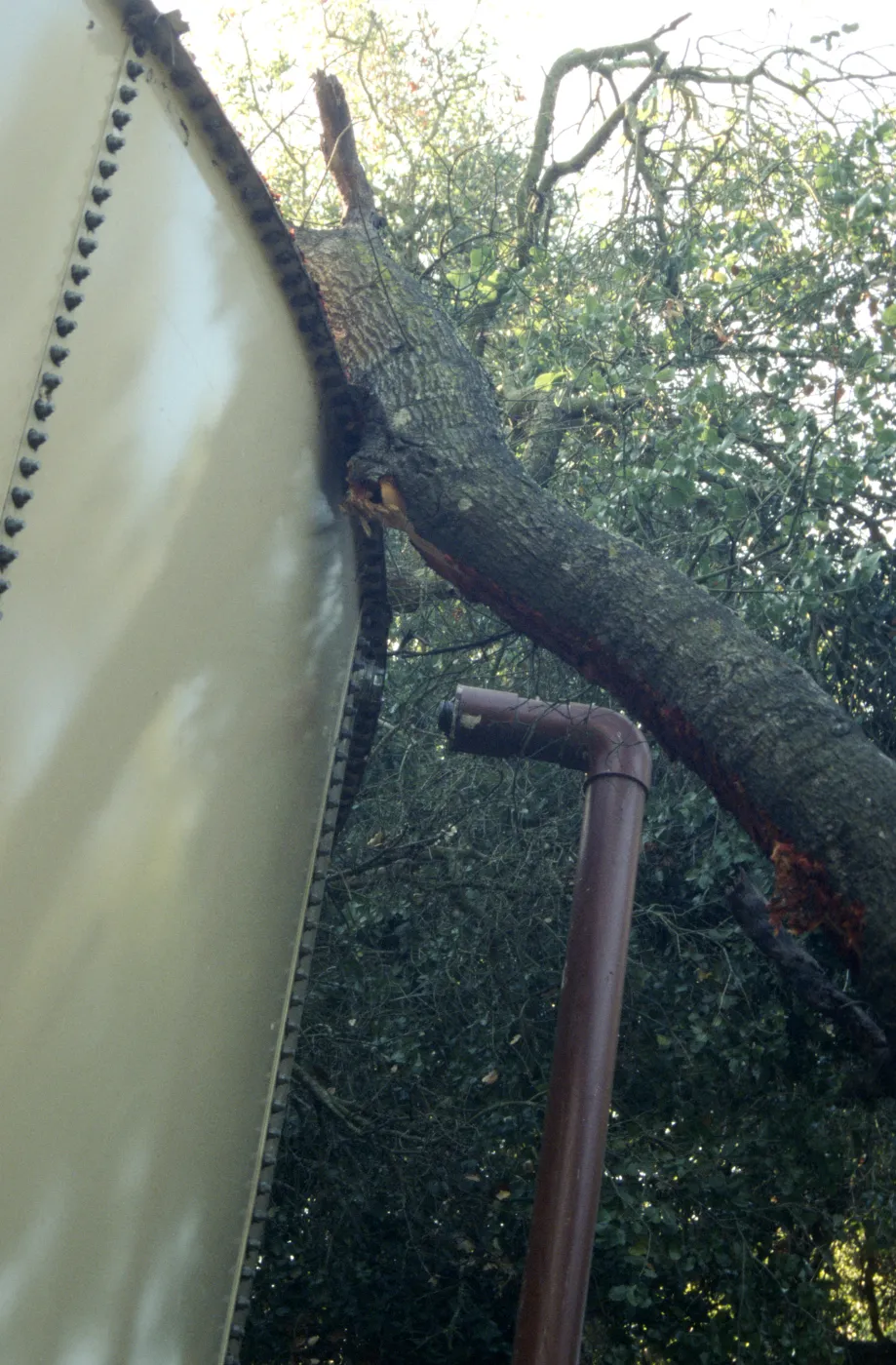 Uprooted tree, fell onto water well