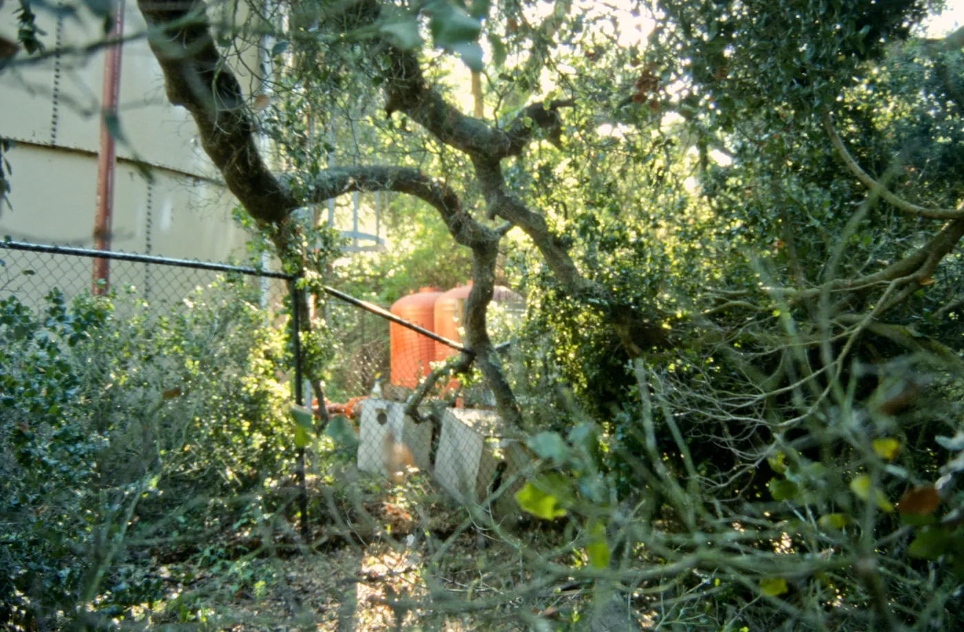Uprooted tree, fell onto water well