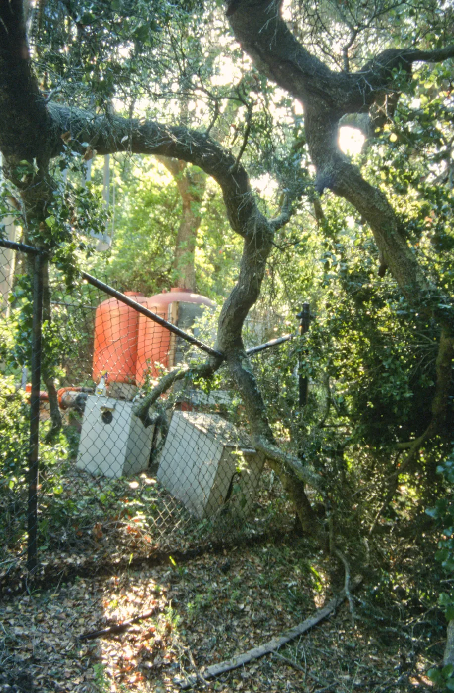 Uprooted tree, fell onto water well