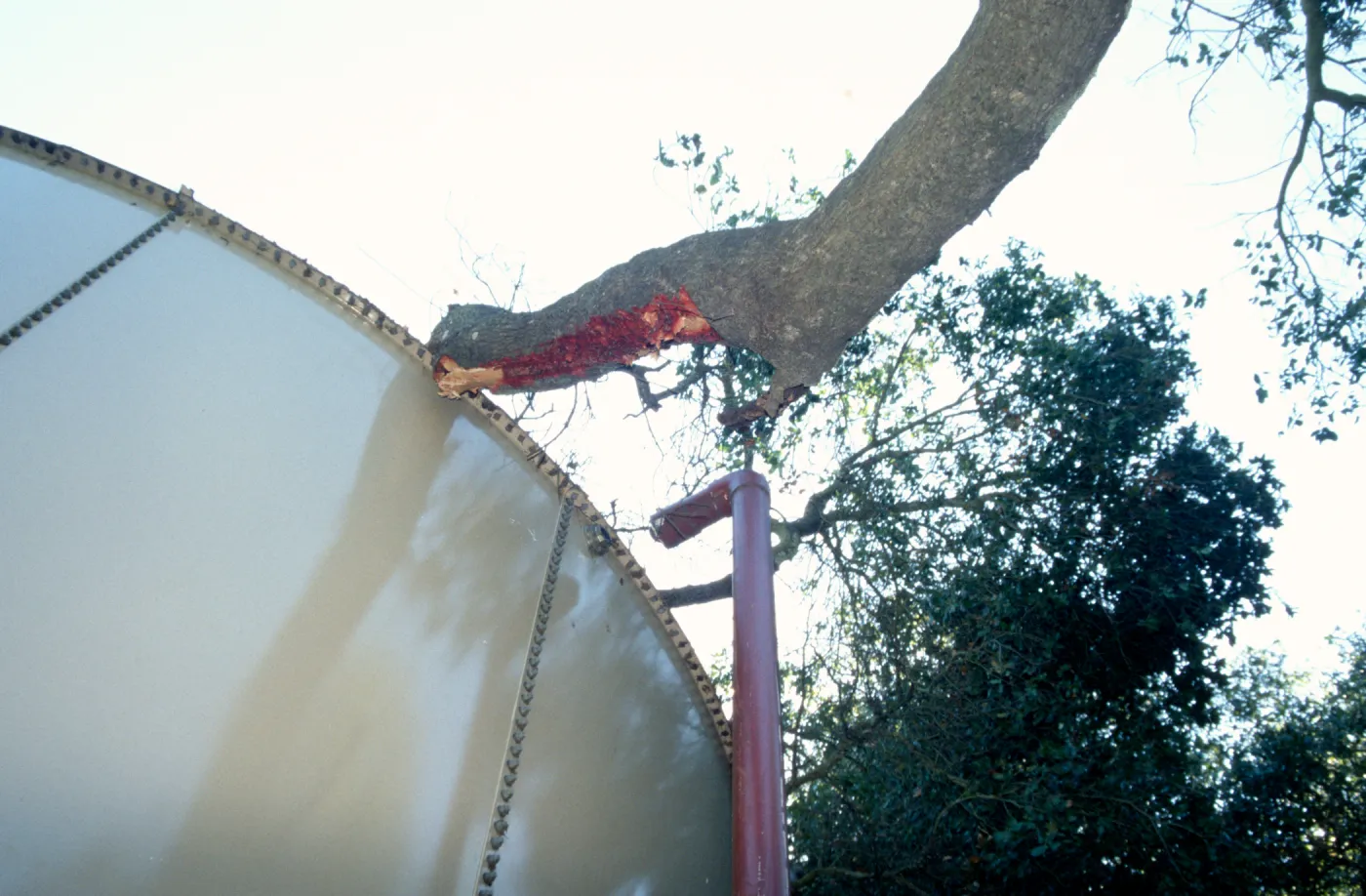 Uprooted tree, fell onto water well tank