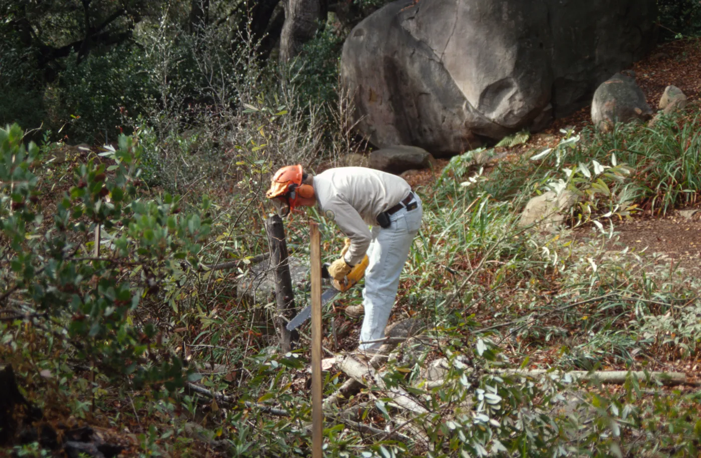 Tea House site prep
