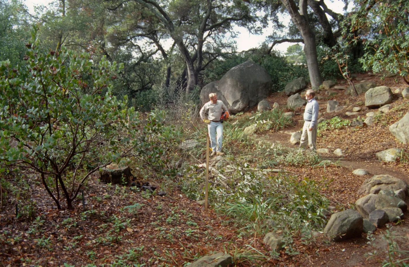 Tea House site prep
