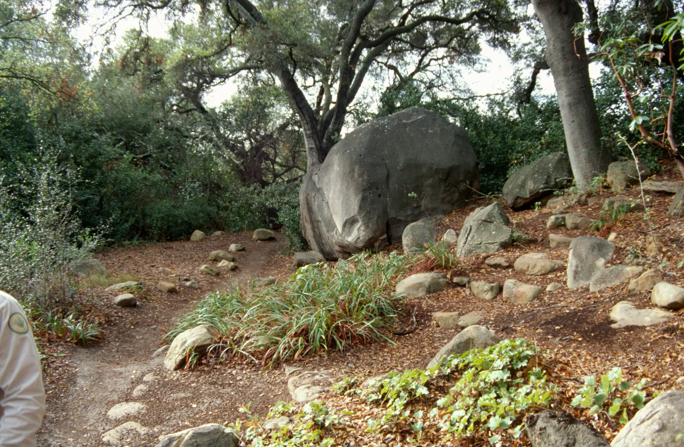 Tea House site prep