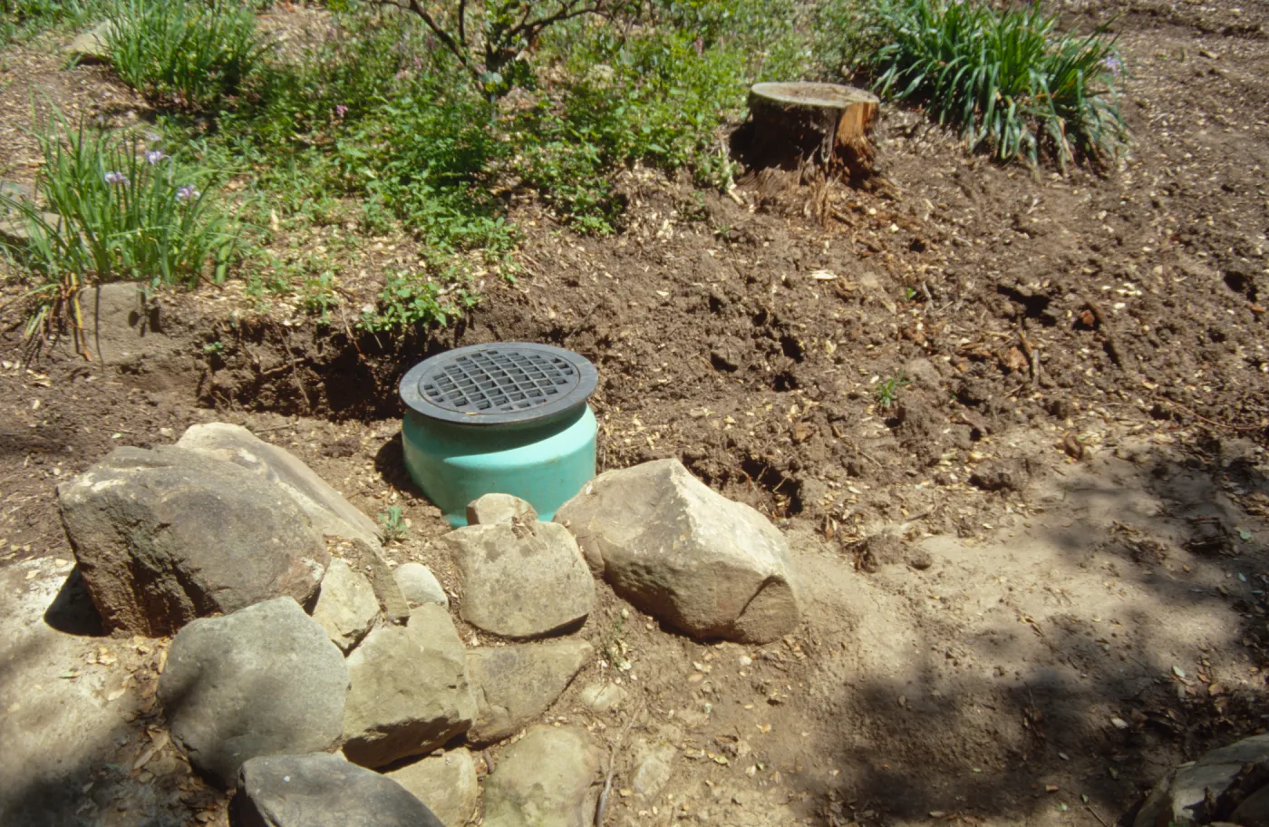 Tea House site prep
