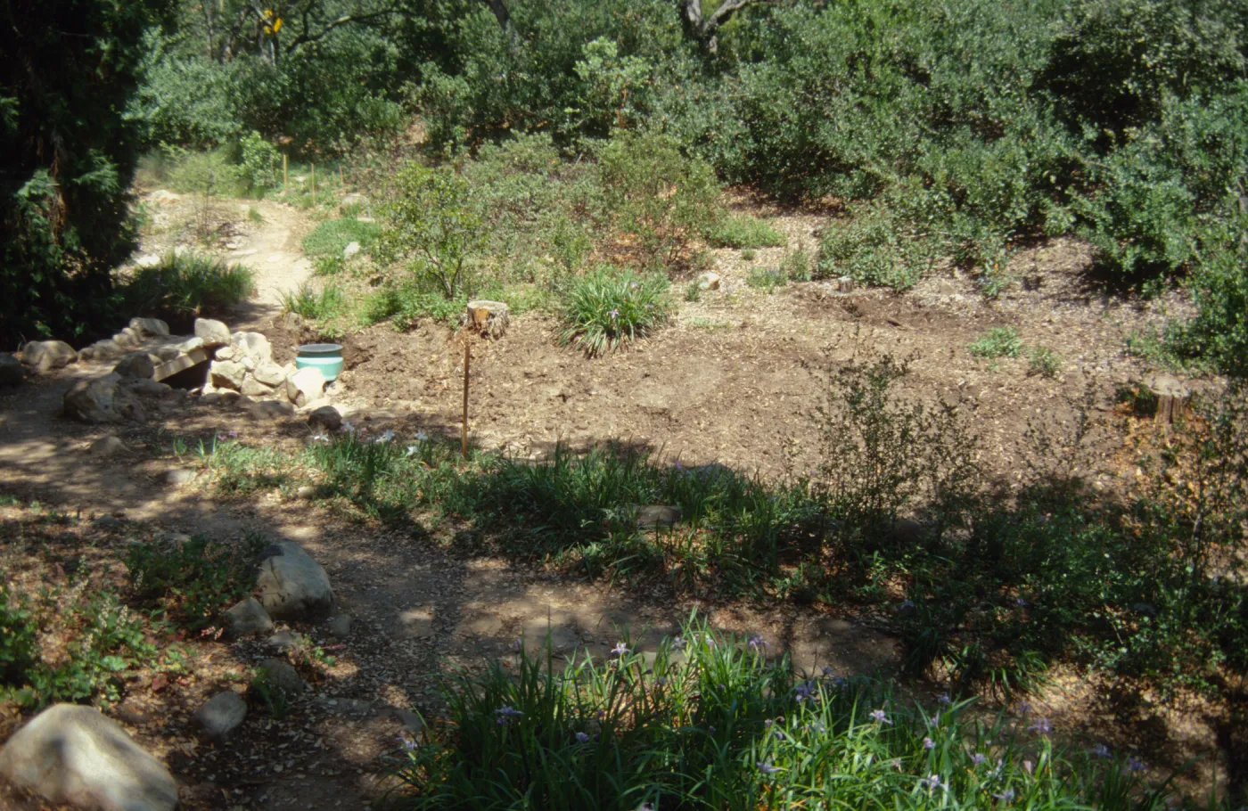 Tea House site prep