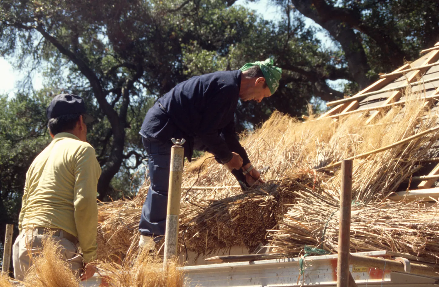 roof thatching tea house construction