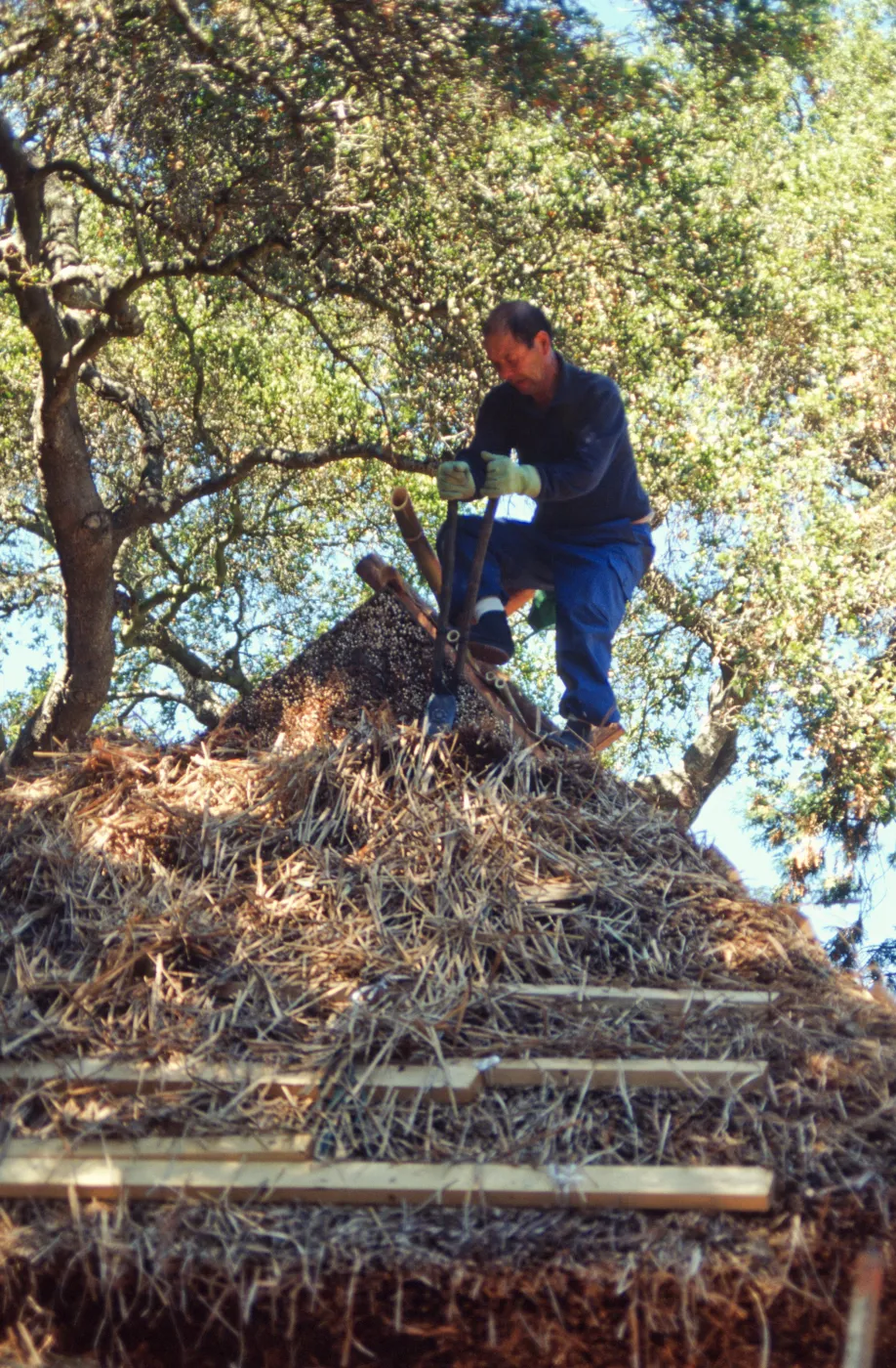tea house construction trimming thatched roof