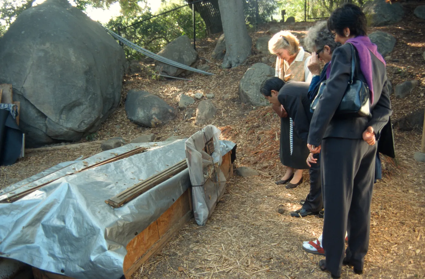 Japanese consul-general visit to Tea House