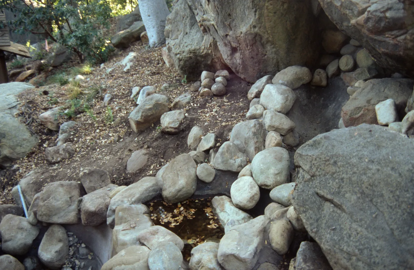 Tea House