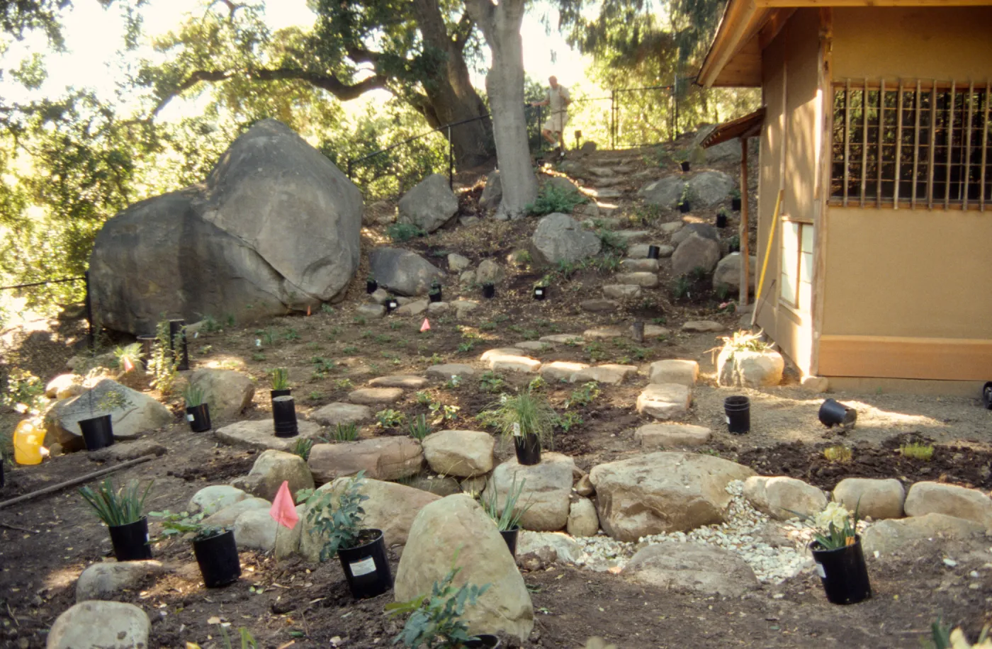 Tea House Garden installation