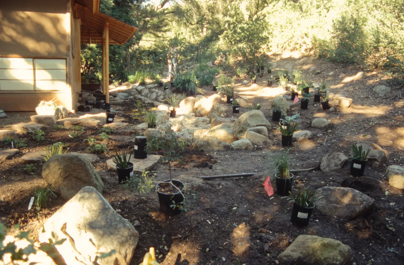 Tea House Garden installation