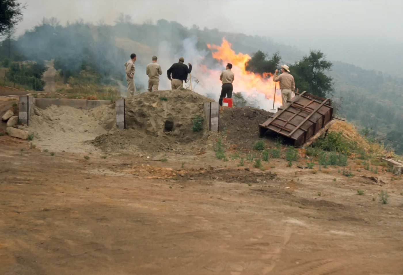 controlled burn