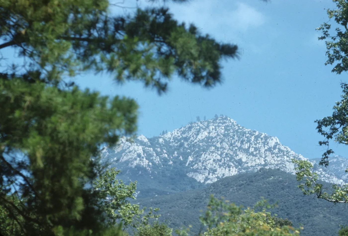 view of La Cumbre Peak from SBBG