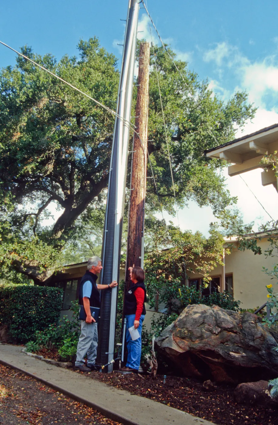 New power pole installed adjacent to the old wooden 'acorn granary' pole