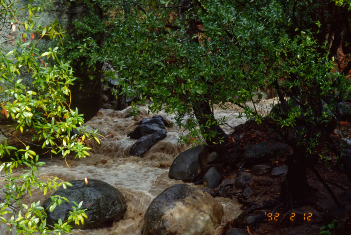 Mission Creek