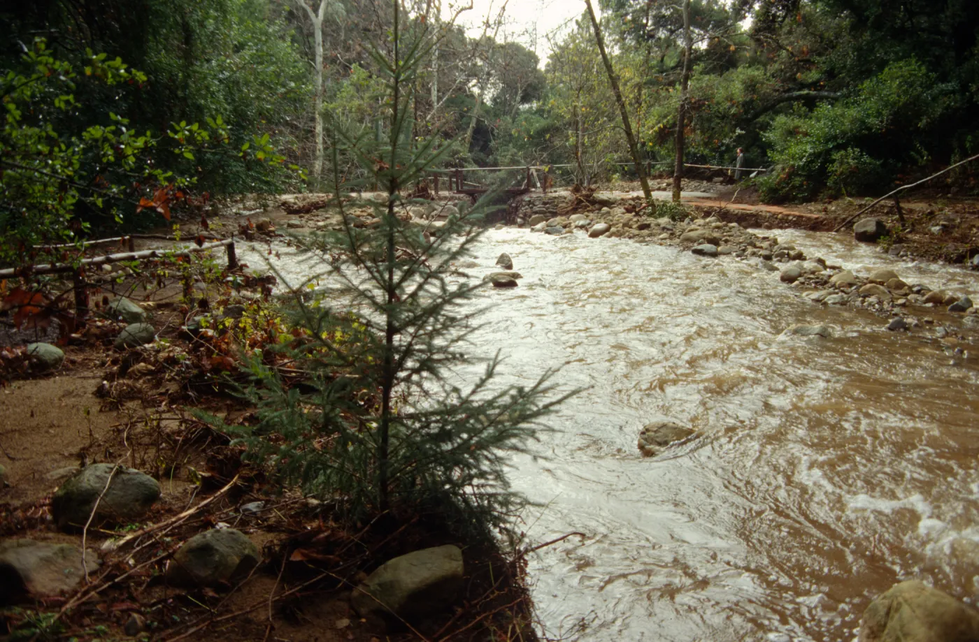 Misssion Creek Flood Stage, January 1995 Storm