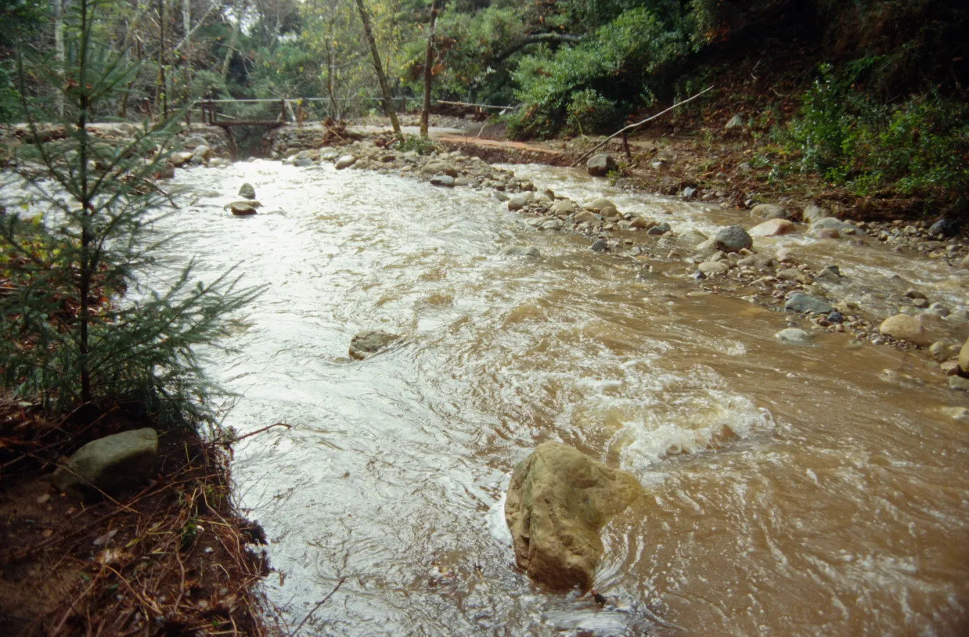 Mission Creek Flood Stage, January 1995